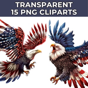 Eagle Flag PNG Patriotic USA Eagle Flag Clipart, Bird Eagle Transparent Clipart for Commercial Use, Sublimation United States Eagle Designs