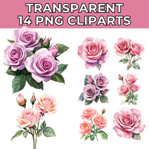 Rosa Rosen Aquarell Clipart: PNG & JPG, Blumenstrauß (Digital Download)