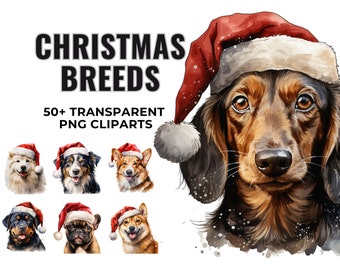50+ Christmas Breed Cliparts, PNG Images, Painted Christmas Clipart, Instant Download for Commercial Use, Digital Art, Midjourney