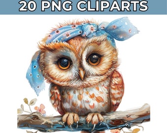 Paquete de 20 imágenes prediseñadas de búho / Imágenes prediseñadas de sublimación de búho brillante / Búhos coloridos / Ilustraciones de búho / Búho imprimible / Descarga digital para la fabricación de tarjetas