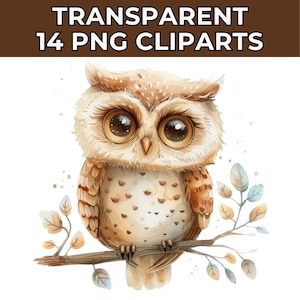14 Adorable Owl Clipart, Watercolor Owl Illustration, Cute Aquarelle Owl, Baby Owl Art, Instant Download, Commercial Use, Kids Gift