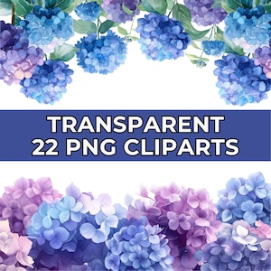 Hydrangeas Borders Watercolor Clipart - Floral Clipart for Sublimation and Digital Designs - PNG Files on Transparent Background