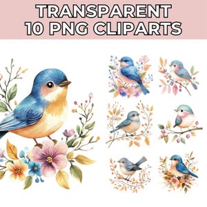 10 Scandinavian Birds Clipart, Floral Bird, Printable Watercolor clipart, High Quality PNGs, Digital download, Paper craft, junk journals
