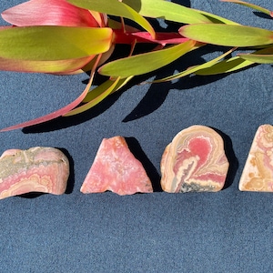 May include: Four pink and white striped polished stones with a variety of shapes and sizes. The stones are arranged in a row on a dark blue surface.