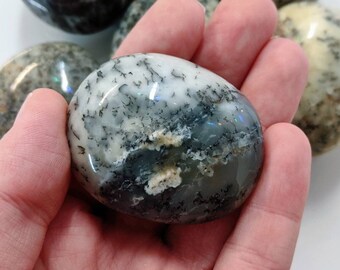 Polished Dendritic Agate Palm Stone: Gemstone Mineral