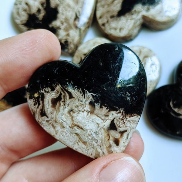 Palm Root Heart Cabochon: Flame Agate Fossil Gemstone Carving