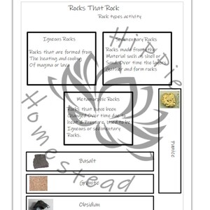 DIGITAL DOWNLOAD - Rocks That Rock, rock type learning activity, printable, homeschool, curriculum