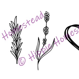 Salt Rosemary Lavender Love svg png cricut silhouette