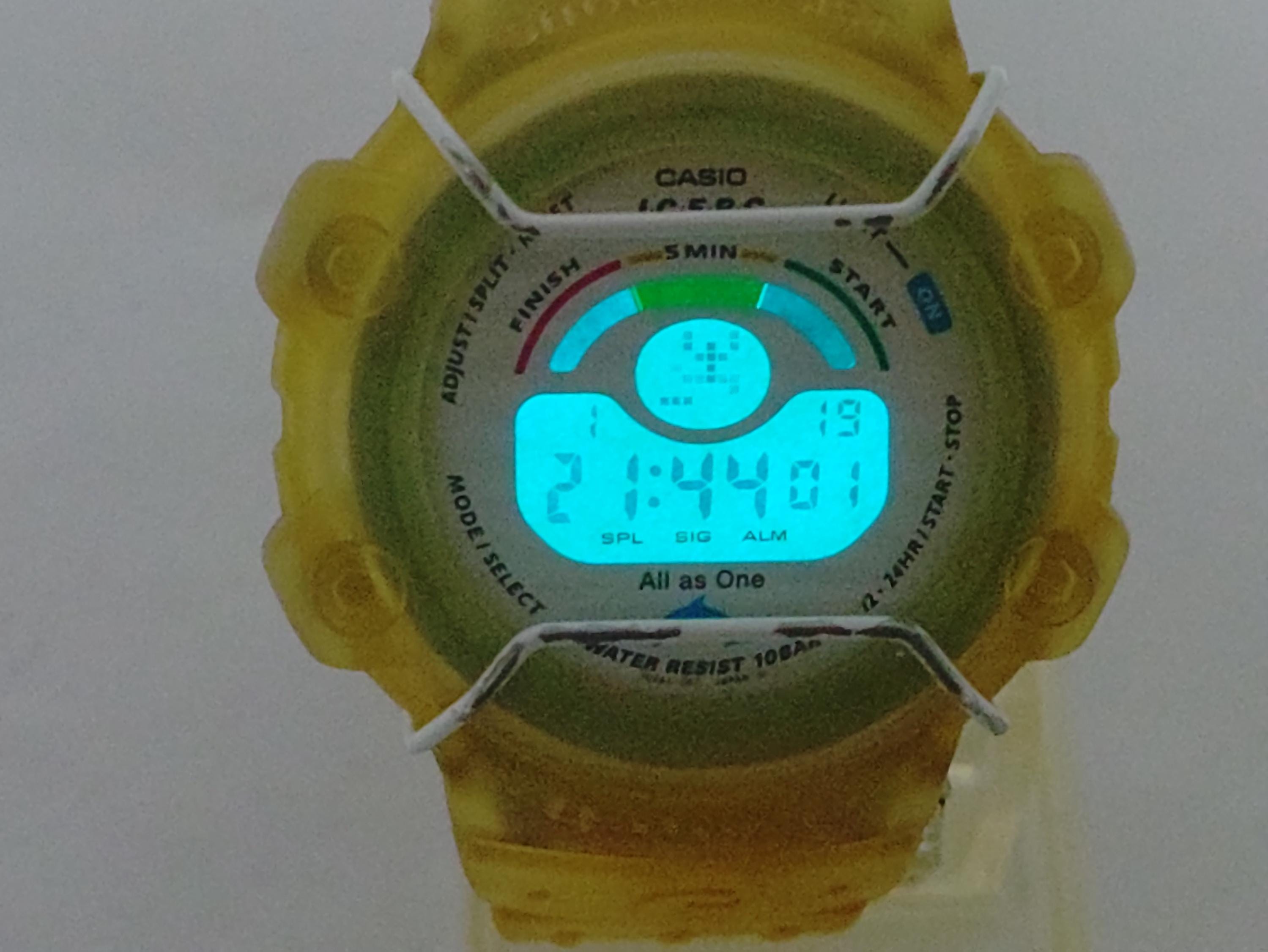CASIO BG-110K International Dolphin Whale Conference Baby-g Watch 