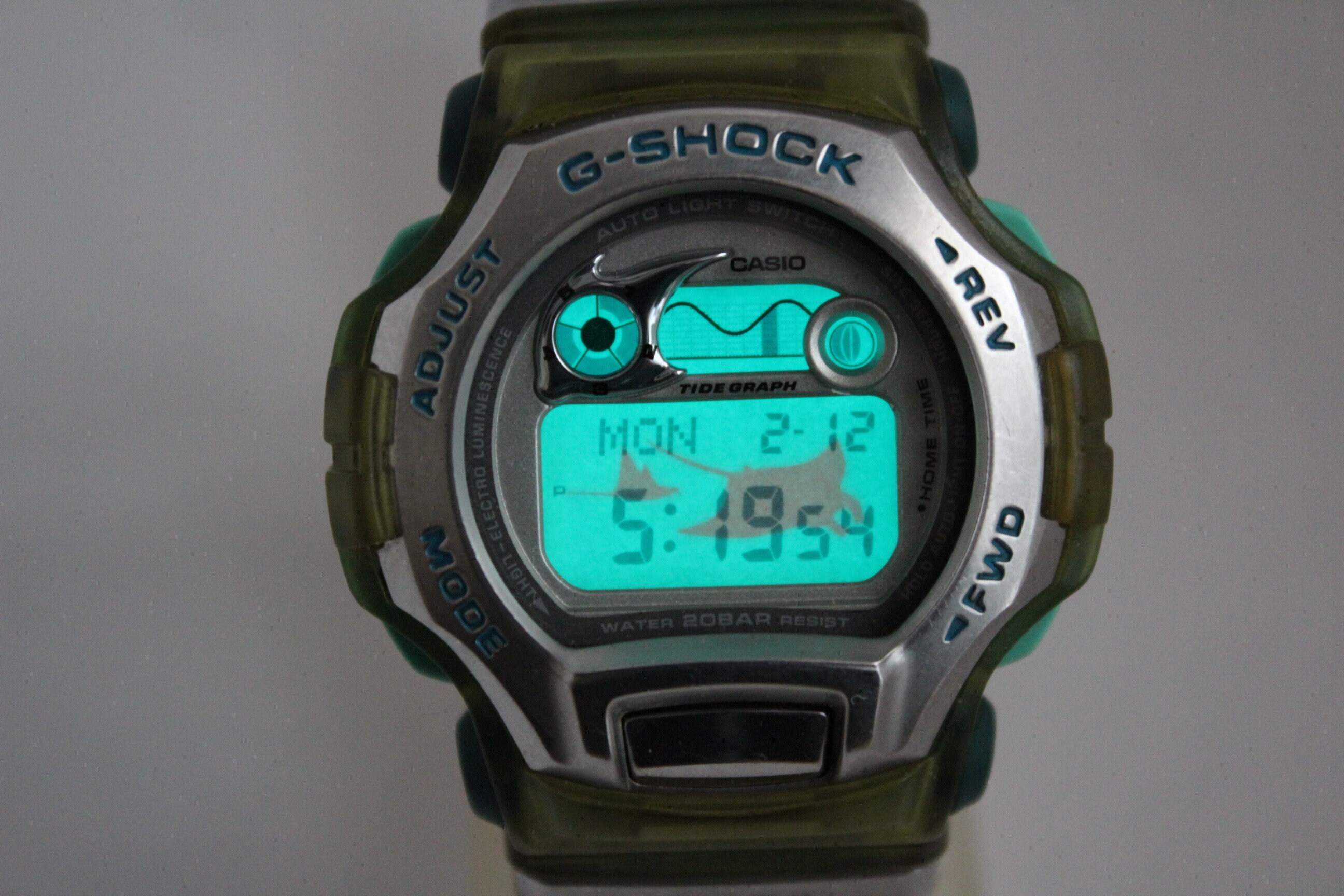 Casio DWM 100WC WCCS Coral Reef Symposium G shock Resistant Watch Etsy Canada