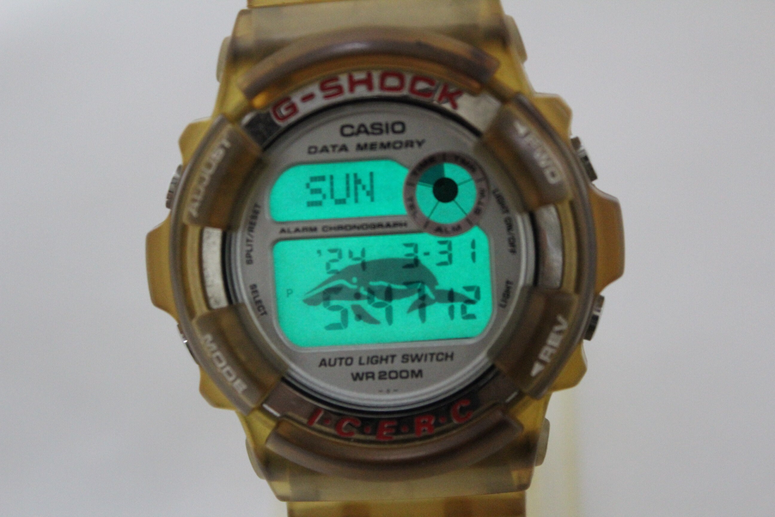 Casio G SHOCK DW 9200K Dolphin and Whale Conference ICERC Etsy Canada