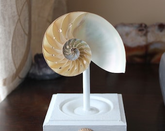 Nautical Desk Decor Etsy