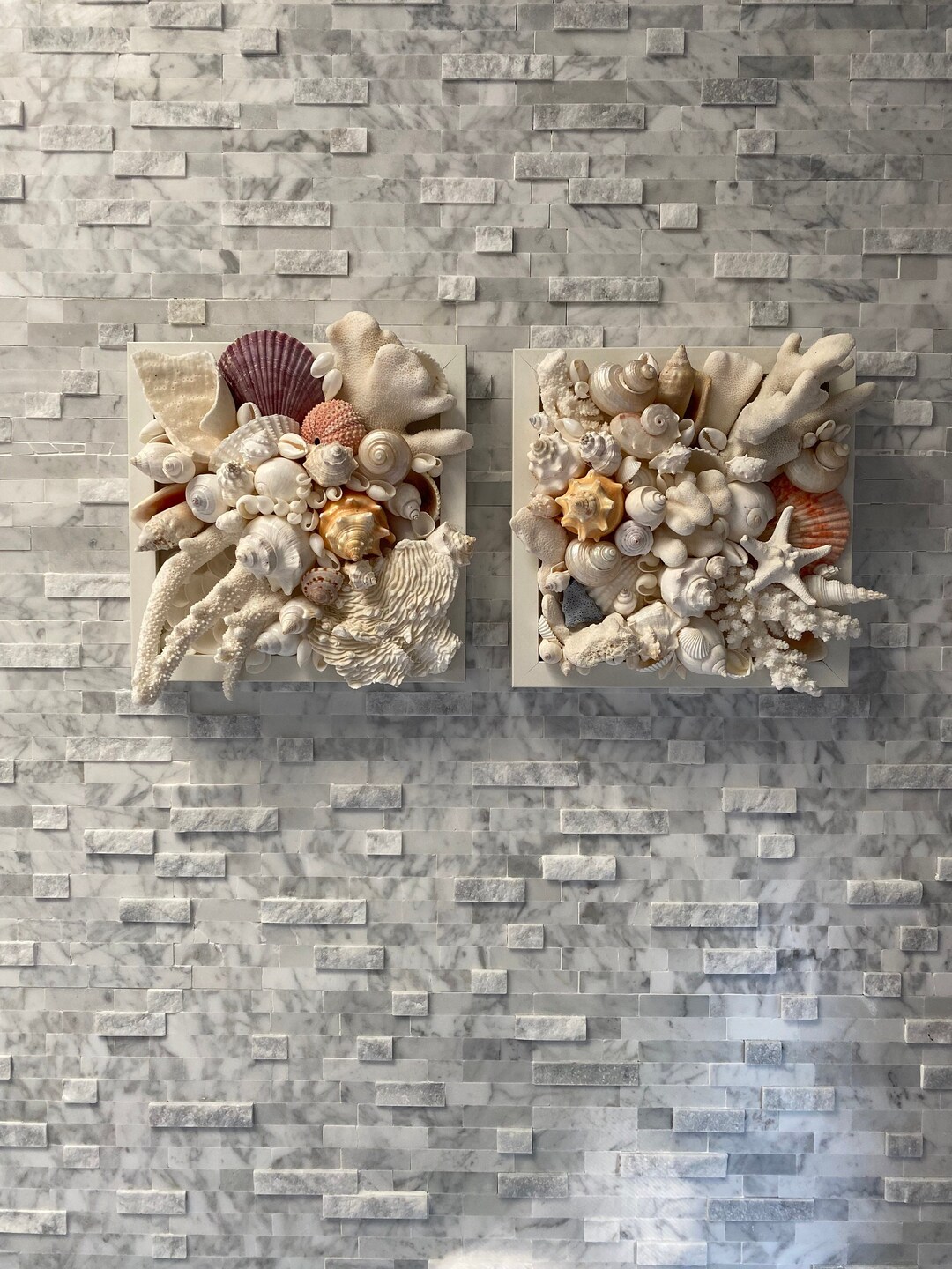 Seashell and CORAL Wall Art Coastal Wall Art Seasell GIFT Etsy