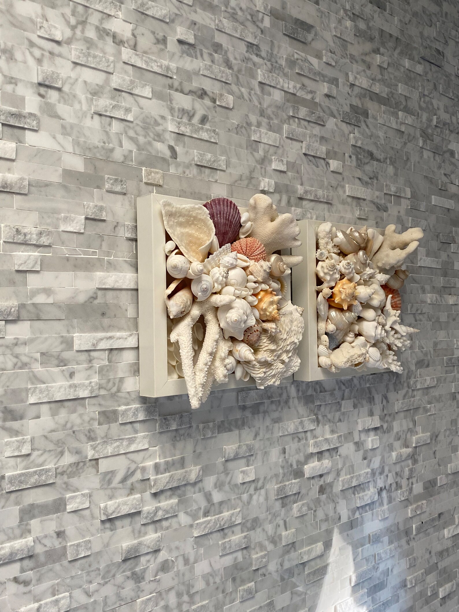 Seashell and CORAL Wall Art Coastal Wall Art Seasell GIFT - Etsy
