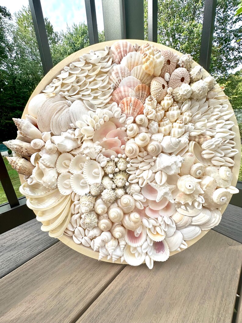 Seashell Wall Art, Coastal Decor, Shell, Beach House Decor - Etsy