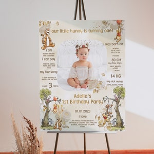 Milestone Board Winnie the Pooh Birthday Party; Winnie Pooh 1st Birthday; Editable Milestone ; Birthday Party Decoration Winnie Pooh poom88