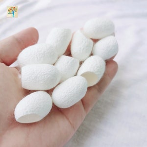 Natural White Silk Cocoons / A grade / Undyed Silk Cocoons / Exfoliating / Facial Cleanser / Facial Scrub / Soap making image 2