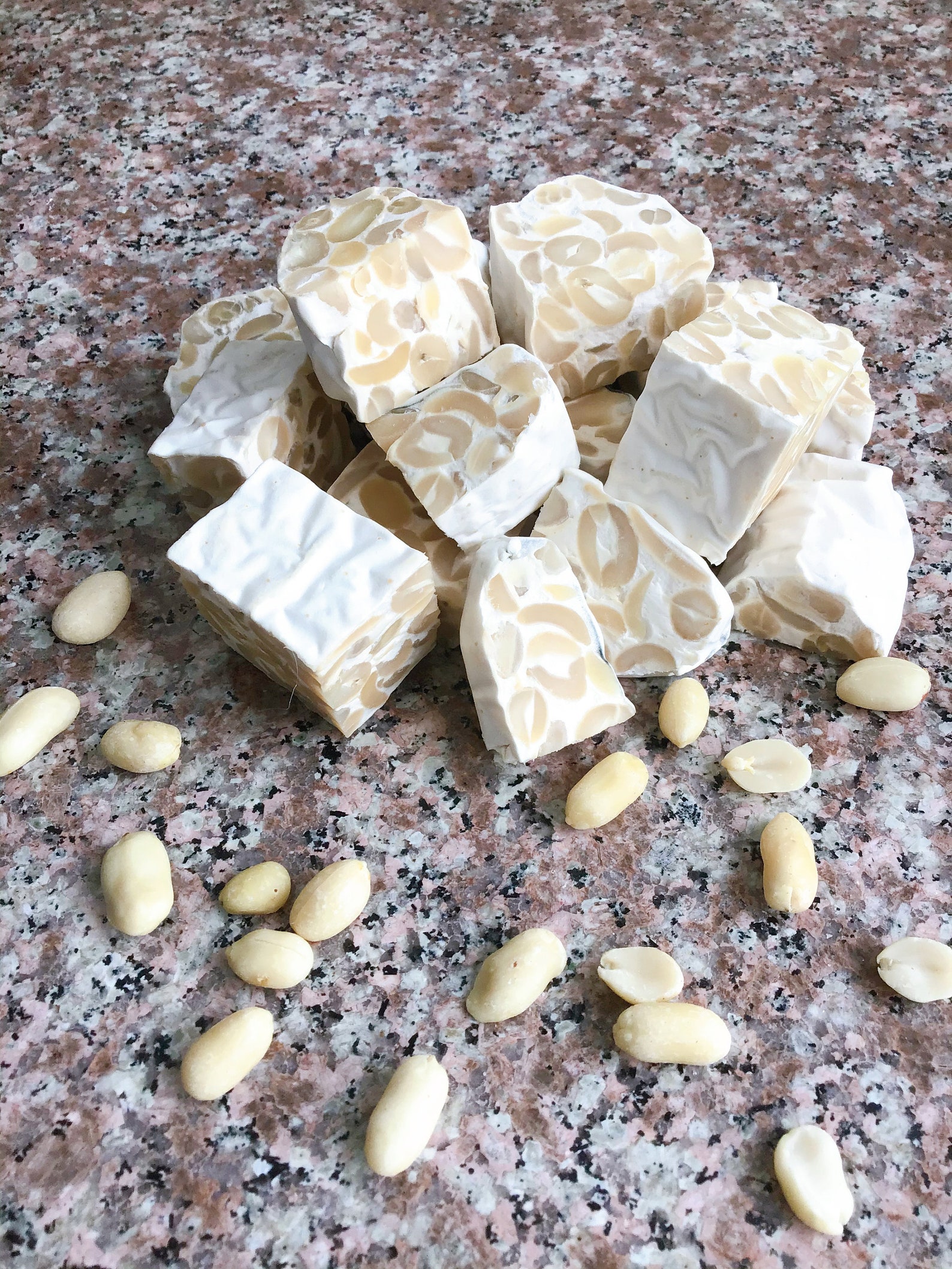 100 Soy free Tempeh Starter Tempe Culture Etsy