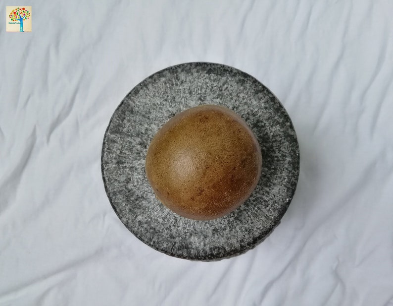 May include: A brown, round object sits in the center of a gray, speckled mortar and pestle. The mortar and pestle are made of stone.