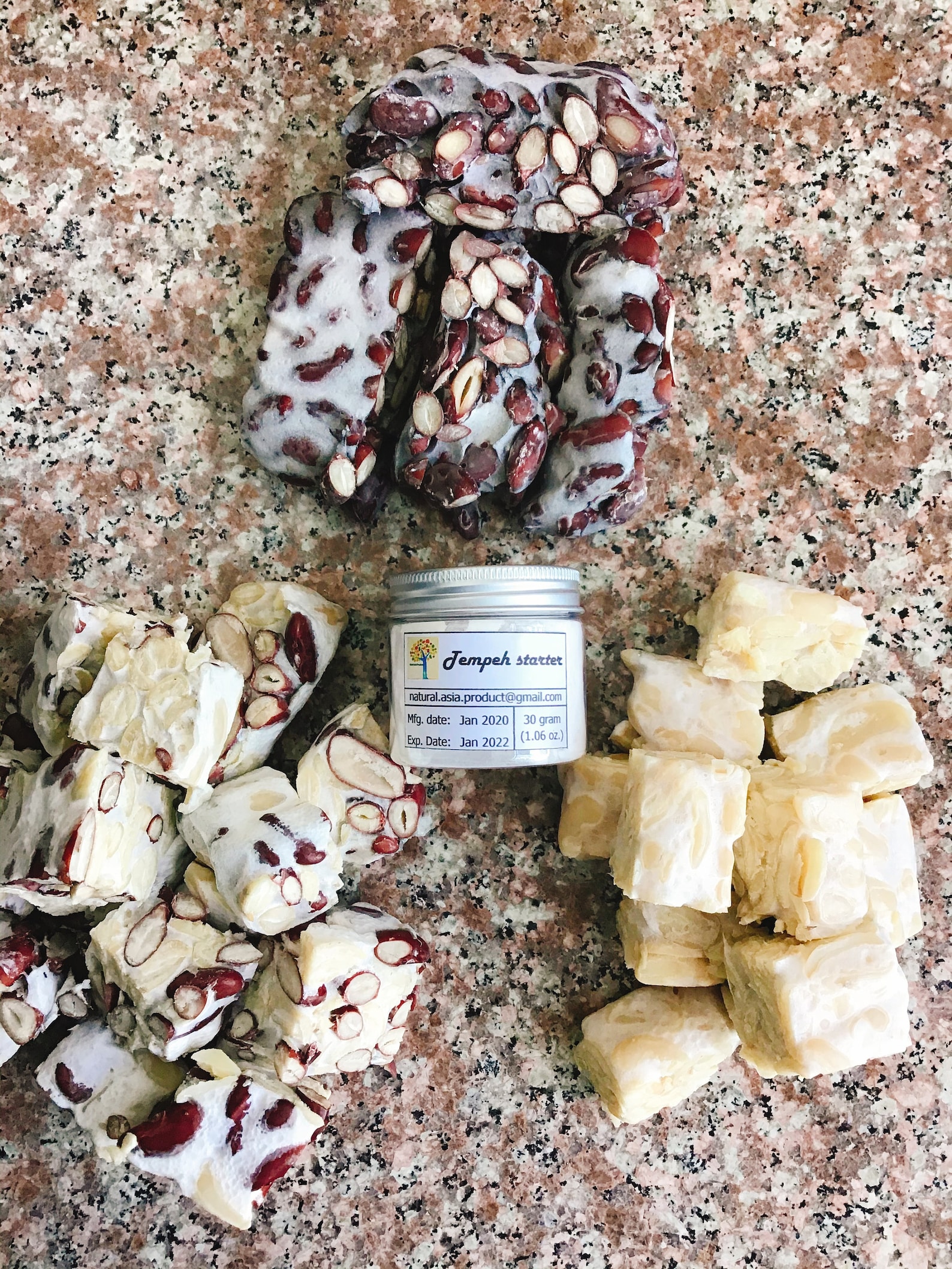 Organic Soy Free Tempeh Starter Tempe Culture Rhizopus Etsy