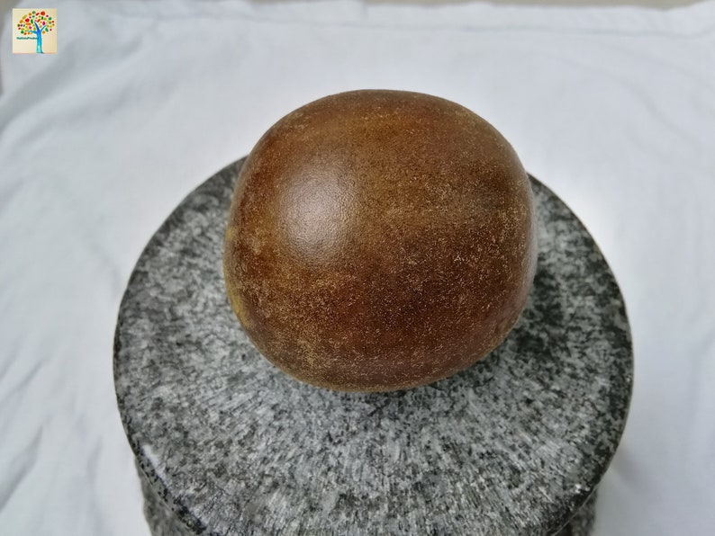 May include: A large, round, brown fruit with a rough texture sits on a gray, textured surface.