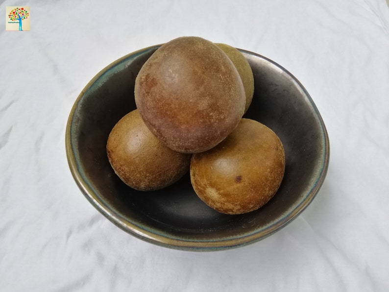 May include: Four brown loquats in a dark gray bowl with a light blue rim.