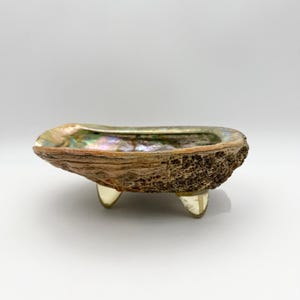 May include: Abalone shell bowl with iridescent interior and textured exterior. The bowl is supported by three clear, rounded feet. The shell's interior displays a range of colors, including green, pink, and gold.