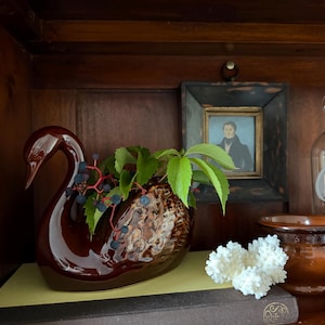 May include: A glossy dark brown ceramic swan-shaped planter featuring a textured wing design. The swan is filled with green leaves and small dark blue berries. It sits on a dark brown book next to a piece of white coral and a small framed portrait.