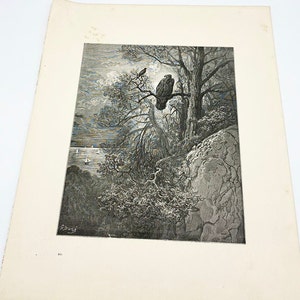 1870 年の The Dore Gallery の初版からのアンティーク彫刻「鷲とカササギ」