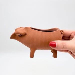May include: A terracotta-coloured ceramic planter shaped like a sheep. The sheep planter has a rectangular opening on its back for planting. The sheep has small legs, a tail, and a detailed head with ears and eyes. The planter is held by a hand with red nail polish.