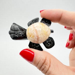 Pode incluir: Uma pequena figura de tartaruga em pedra esculpida com uma carapaça lisa de cor creme e amarelo pálido, e membros e cabeça em pedra preta polida. Os componentes de pedra preta apresentam gravações finas com padrões de linhas brancas.
