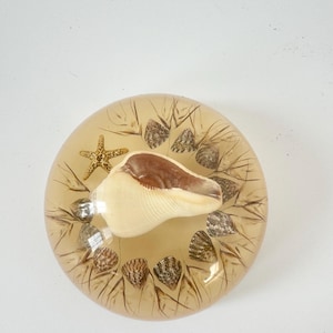 Vintage resin shell paperweight