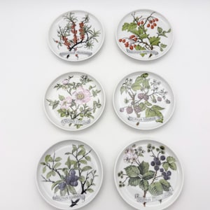 Set of 6 vintage Kaiser porcelain coasters, small botanical plates