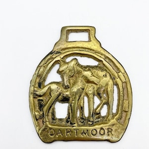 Vintage Dartmoor horse brass, pony horse medallion