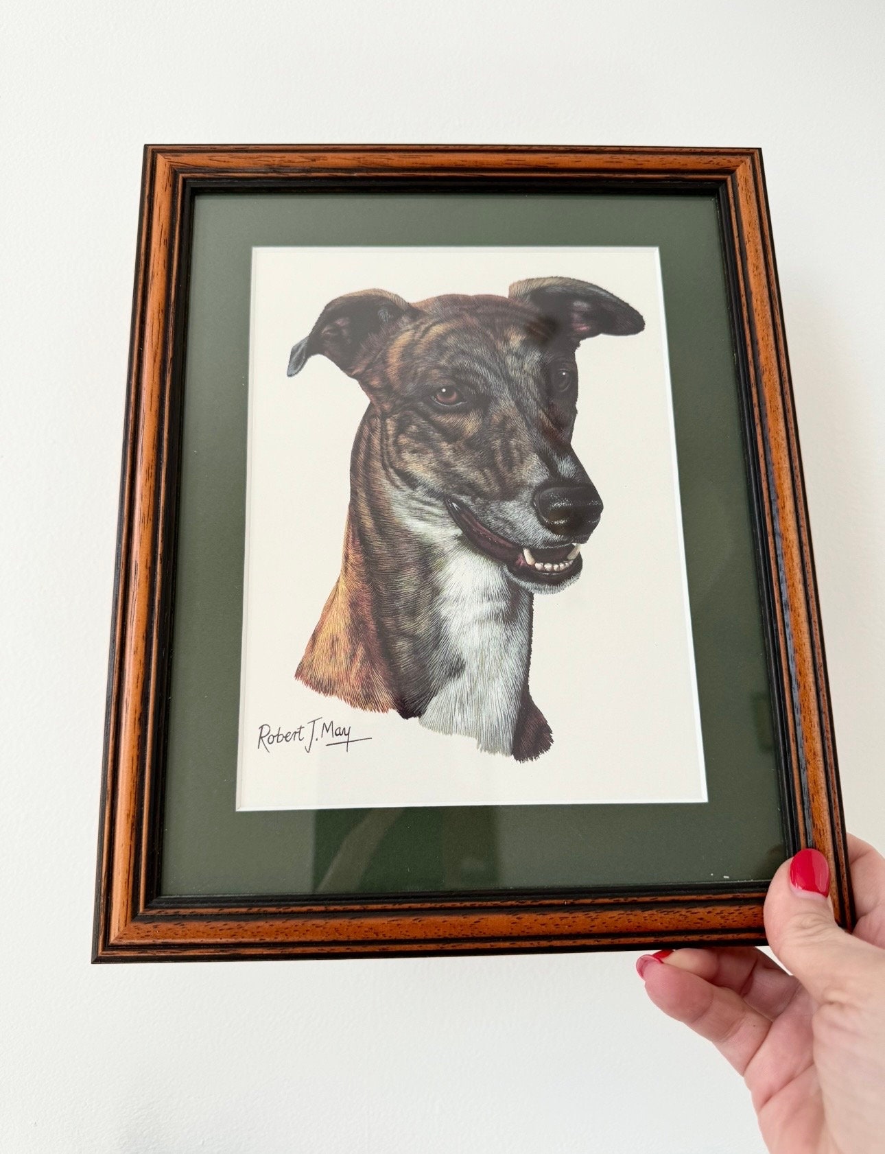 Framed dog print, wall decor, greyhound print