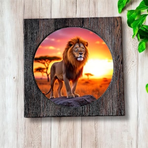 May include: A framed print of a lion standing on a rock in a savanna at sunset. The lion has a thick mane and is looking directly at the viewer.