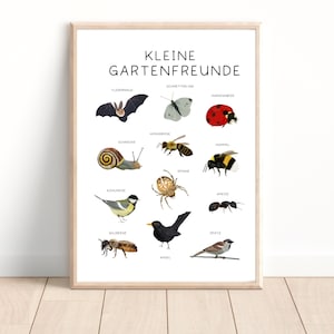 Poster Kinderzimmer Tiere, Kinderzimmer Deko, Poster für Kinder, Heimische Tiere, Wandbild, Digitaldrucke, Geschenke für Junge Mädchen