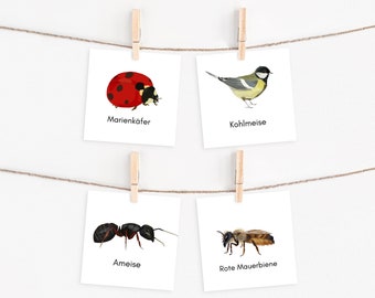 Heimische Tiere Montessori, Tierkarten, Bildkarten Tiere, Montessori PDF, heimische Tiere Bildkarten, Lernkarten zum Ausdrucken