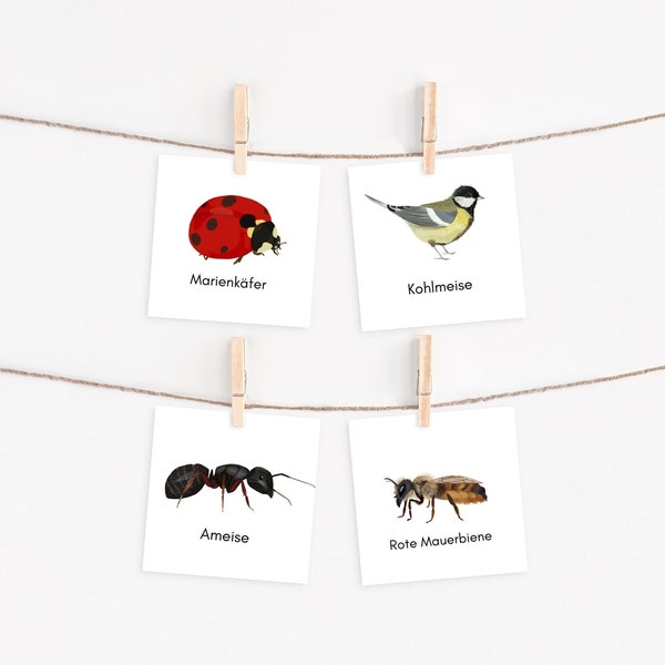 Native animals Montessori, animal cards, picture cards animals, Montessori PDF, native animals picture cards, learning cards to print