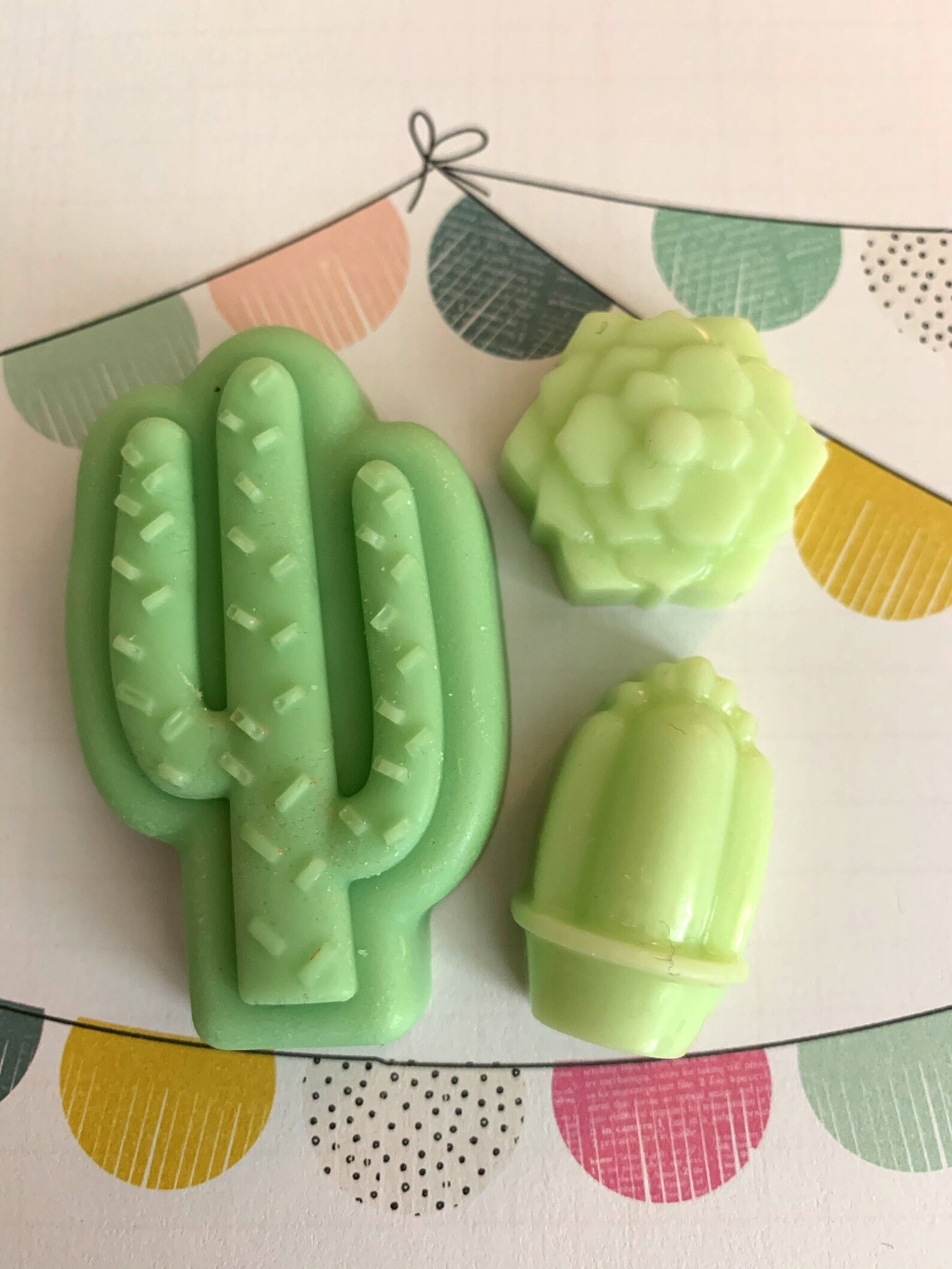 Baja Cactus Wax Melts Wax Tarts Cactus Cacti Floral Etsy