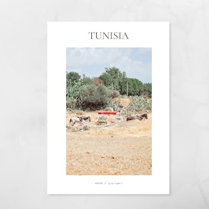 Tunisia | horses near the city Sousse of Tunisia | Animals | Africa | photography print | travel poster and wall art