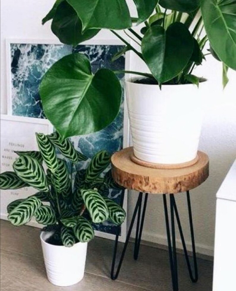 20 22 Modern Hairpin Legs Table Small Round Coffee Etsy