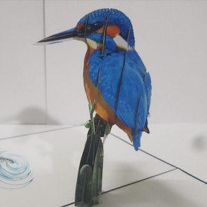 Tarjeta emergente 3D de Martín pescador/cumpleaños/amante de la naturaleza/observador de aves