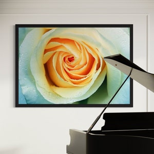 White Rose Close-Up Print: Floral Bedroom Art (Digital Download)