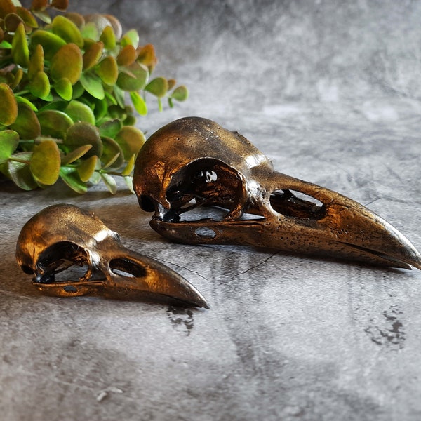Raven Skull Replica Antique Bronze Color