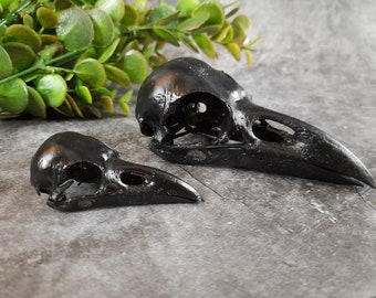 Raven Skull Replica black