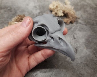 Owl skull replica unpainted