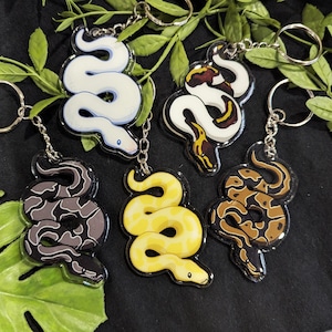 Puede incluir: Cinco llaveros de serpiente diferentes con fondos de acrílico transparente. Las serpientes son de varios colores y patrones, incluyendo blanco, amarillo, negro, marrón y naranja.