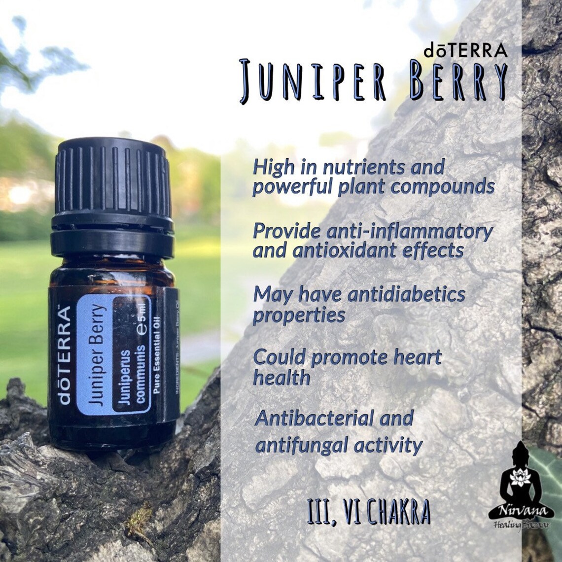 Juniper Berry Dōterra essential oil Etsy