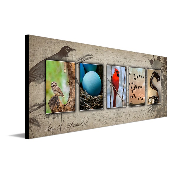 Bird Watching Name Art | Birder Gift Idea | Your Name Personalized With Bird Photography | Bird art from Personal Prints